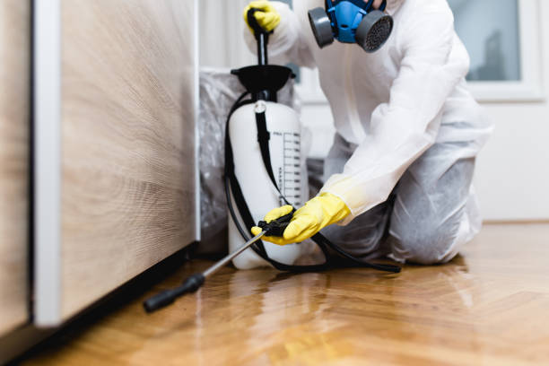 Best Local Pest Control Services  in Richfield, UT