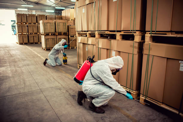 Best Affordable Pest Control Services  in Richfield, UT