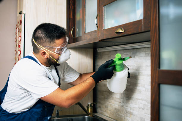 Best Termite Control Services  in Richfield, UT