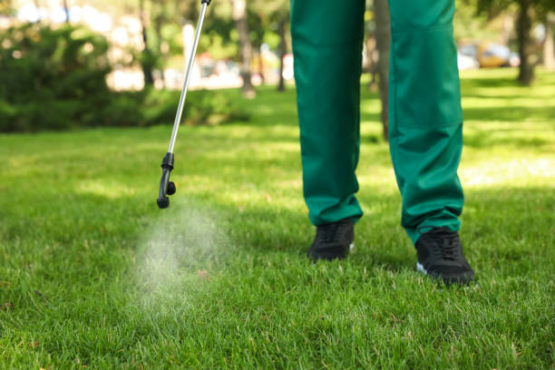 Best Mosquito Control Services  in Richfield, UT