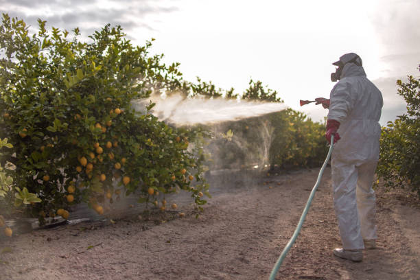Best Wasp Removal Services  in Richfield, UT