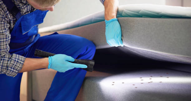 Best Residential Pest Control  in Richfield, UT