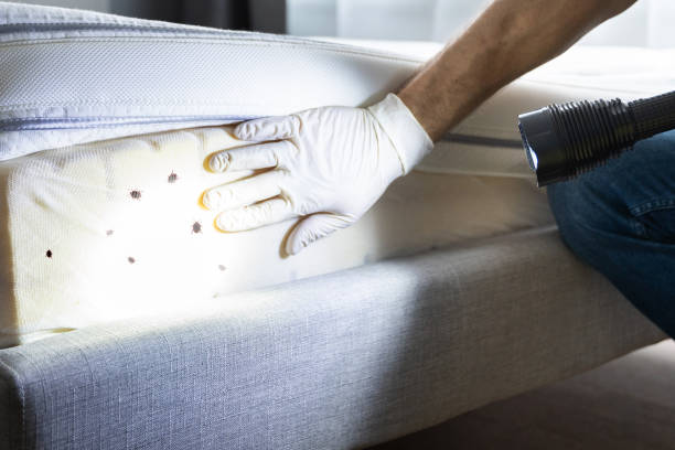 Best Pest Removal Services  in Richfield, UT