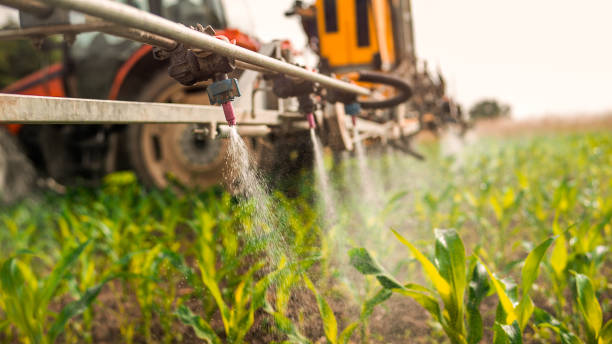 Best Pest Control for Homes  in Richfield, UT
